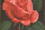 EDUARDO BORTK (1950), Rosa, 1994 - Óleo s/ tela<br>Ass. inf. direito<br>Ass., titulado e datado no verso, com dedicatória.
