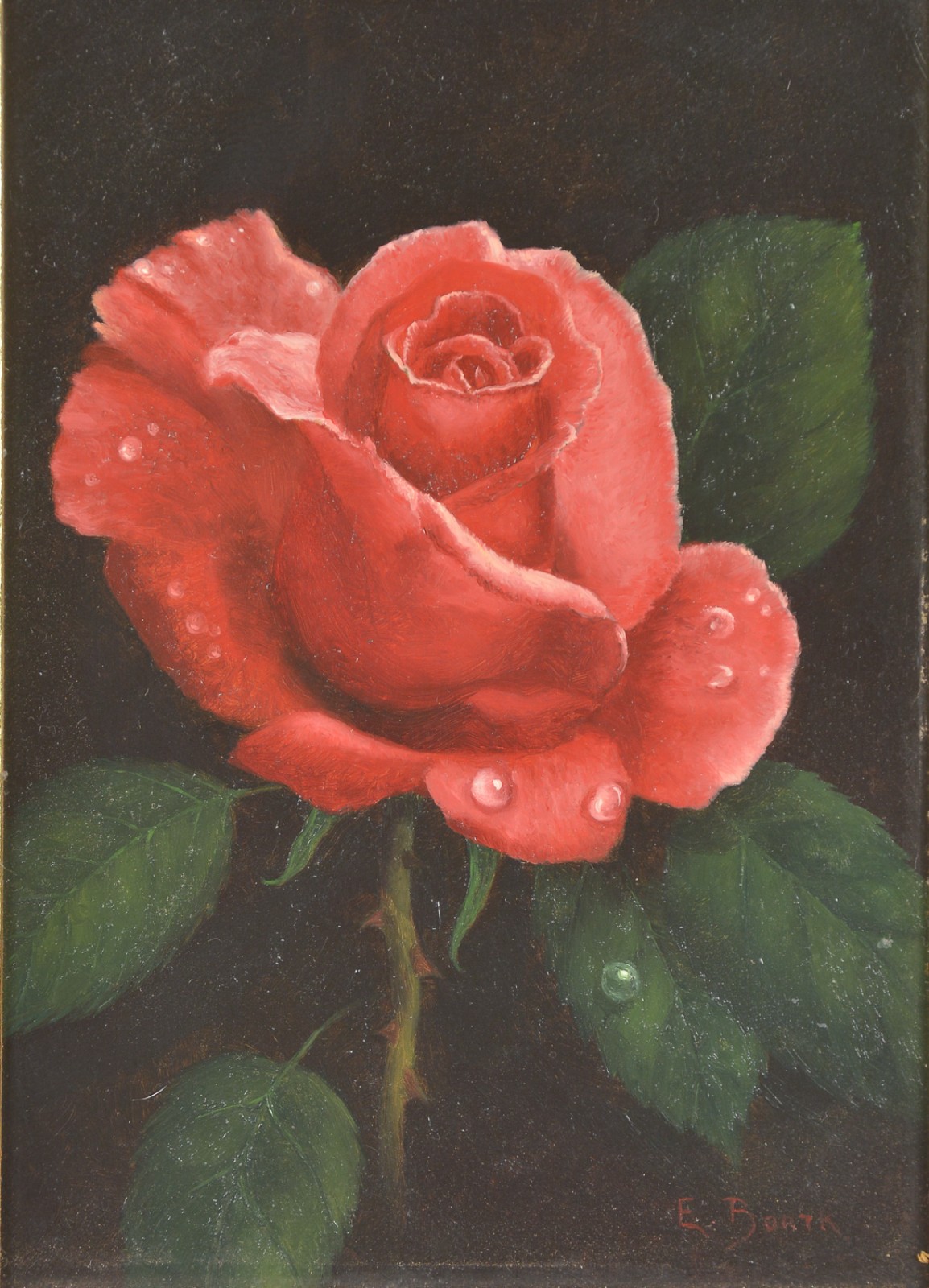 Rosa, 1994 - foto 1 de 6