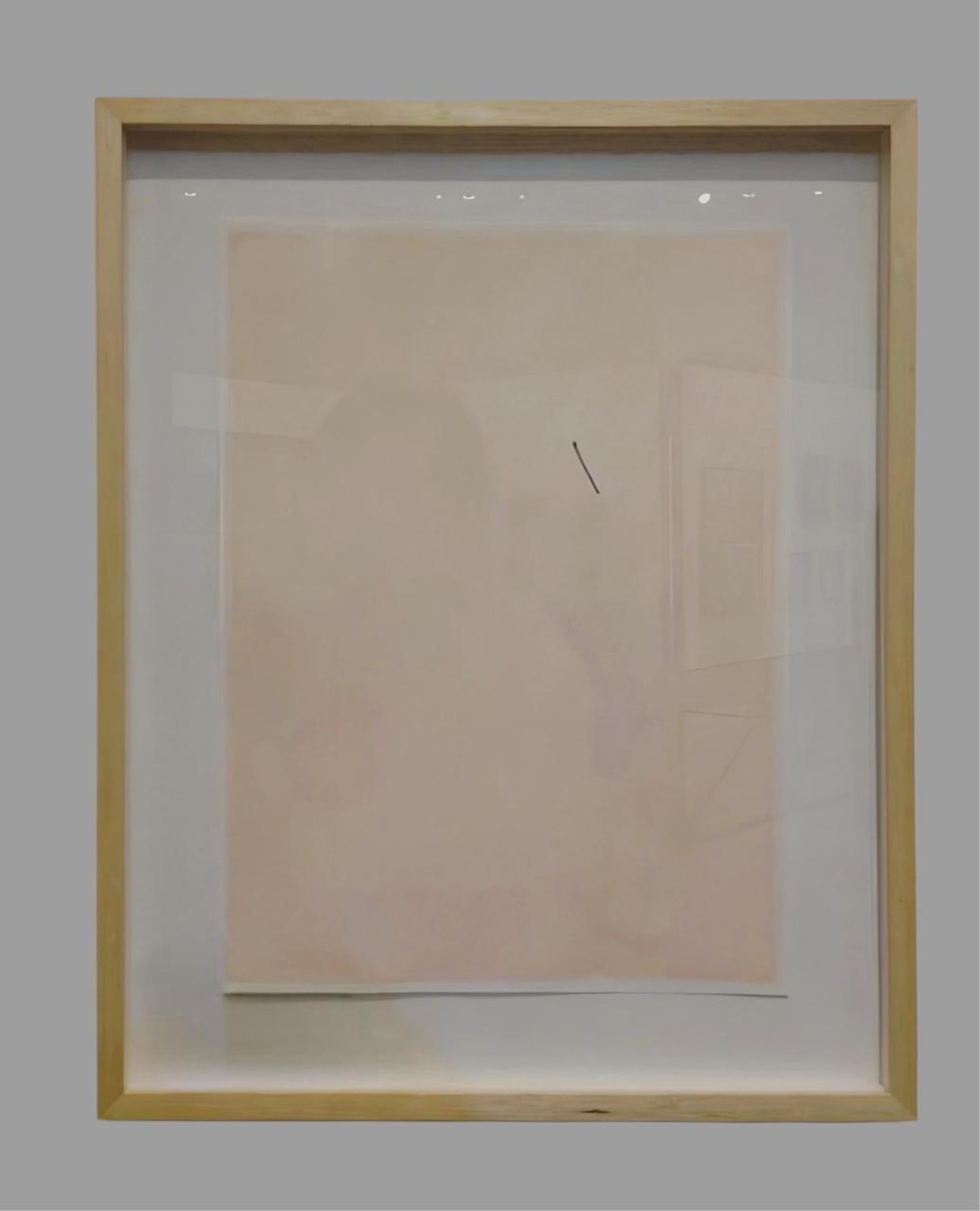 Chagas, 2006