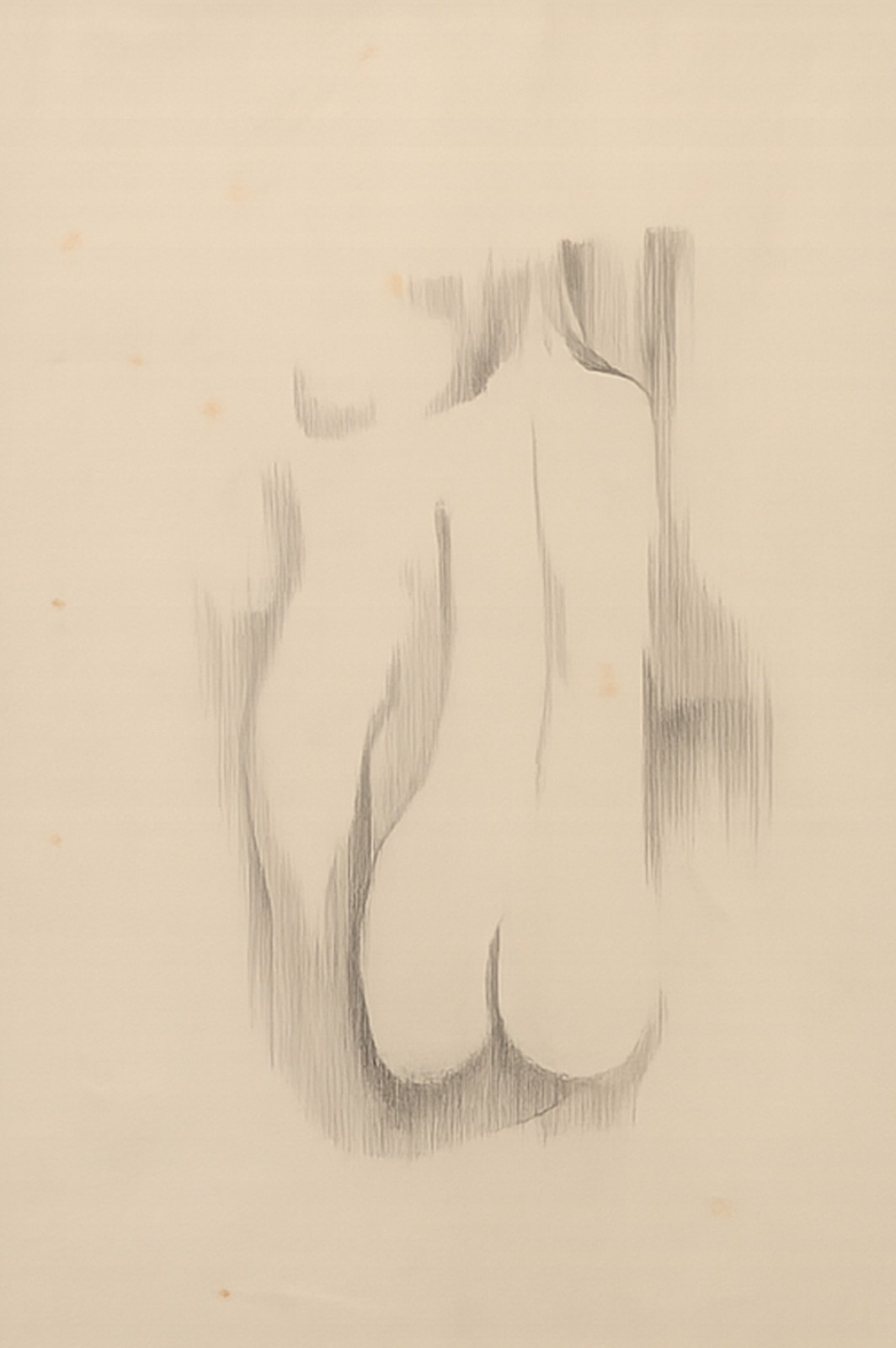 Enrico Bianco (1918-2013), Estudo para Nús - foto 1 de 4