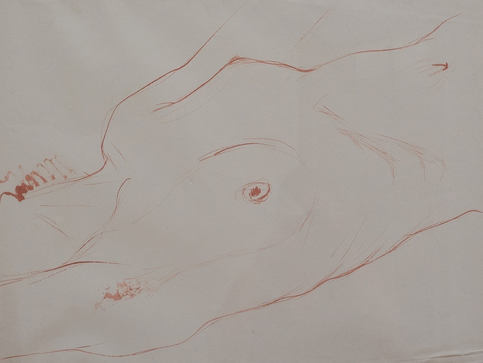 Enrico Bianco (1918-2013), Nú, Déc. 40 - foto 1 de 3