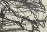 Enrico Bianco (1918-2013), Nú e Lavadeira, 1993 - Carvão sobre papel <br>Ass. inf. direito<br>Com Declaração de Autenticidade, registrado sob o nº 01781, emitido pela Família do Artista.