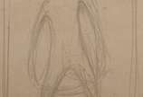 Enrico Bianco (1918-2013), Estudo, década de 1950 - Desenho s/ papel<br>Com Declaração de Autenticidade, registrado sob o nº 01914, emitido pela Família do Artista