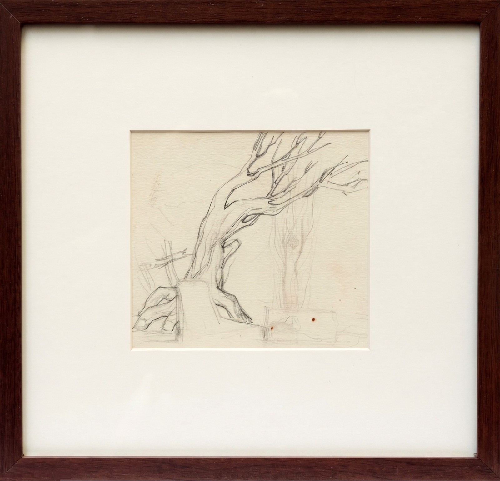 Enrico Bianco (1918-2013), Estudo Árvore - foto 1 de 2