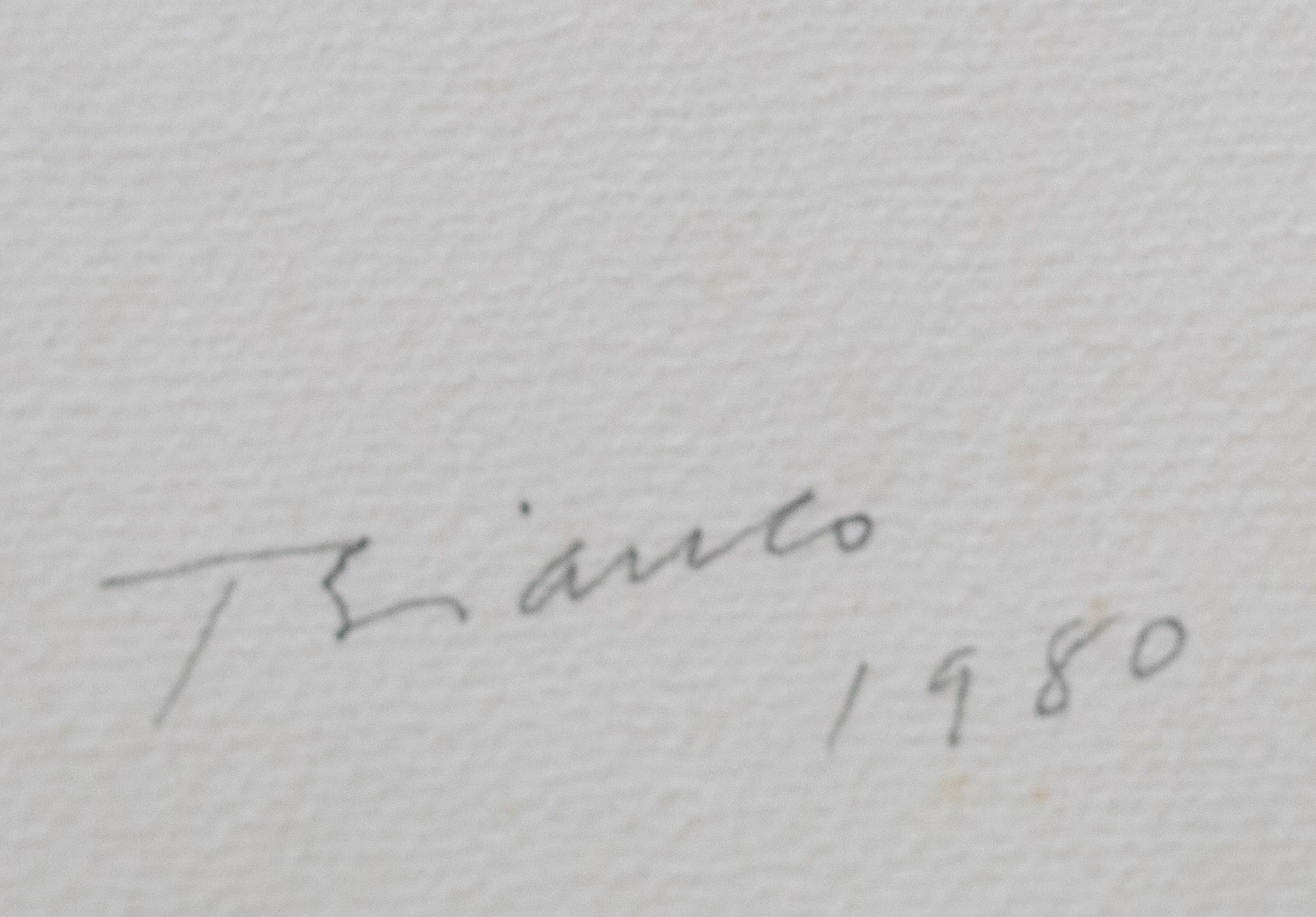 Enrico Bianco (1918-2013), Derrubada, 1980 - foto 3 de 4