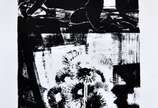 Enrico Bianco (1918-2013), Álbum (7 gravuras) - Álbum contendo 7 gravuras de Enrico Bianco:<br><br>1: Carlos Drummond 5, 1985 - Serigrafia em preto e branco - Ed. P/A - Ass. inf. direito - 47,5 x 35