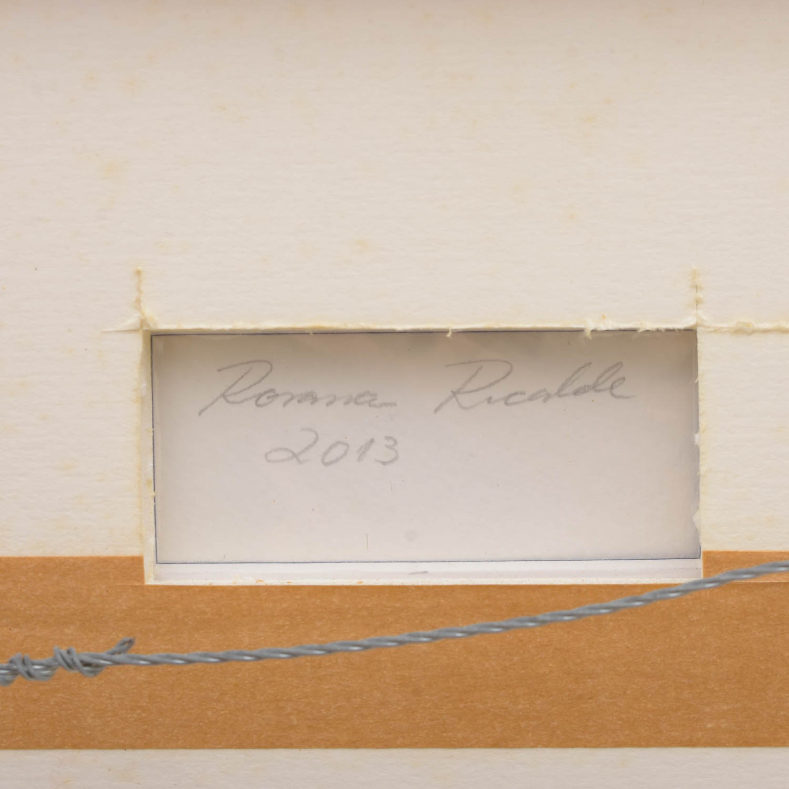 Rosana Ricalde (1971), Sem título, 2013 - foto 3 de 4