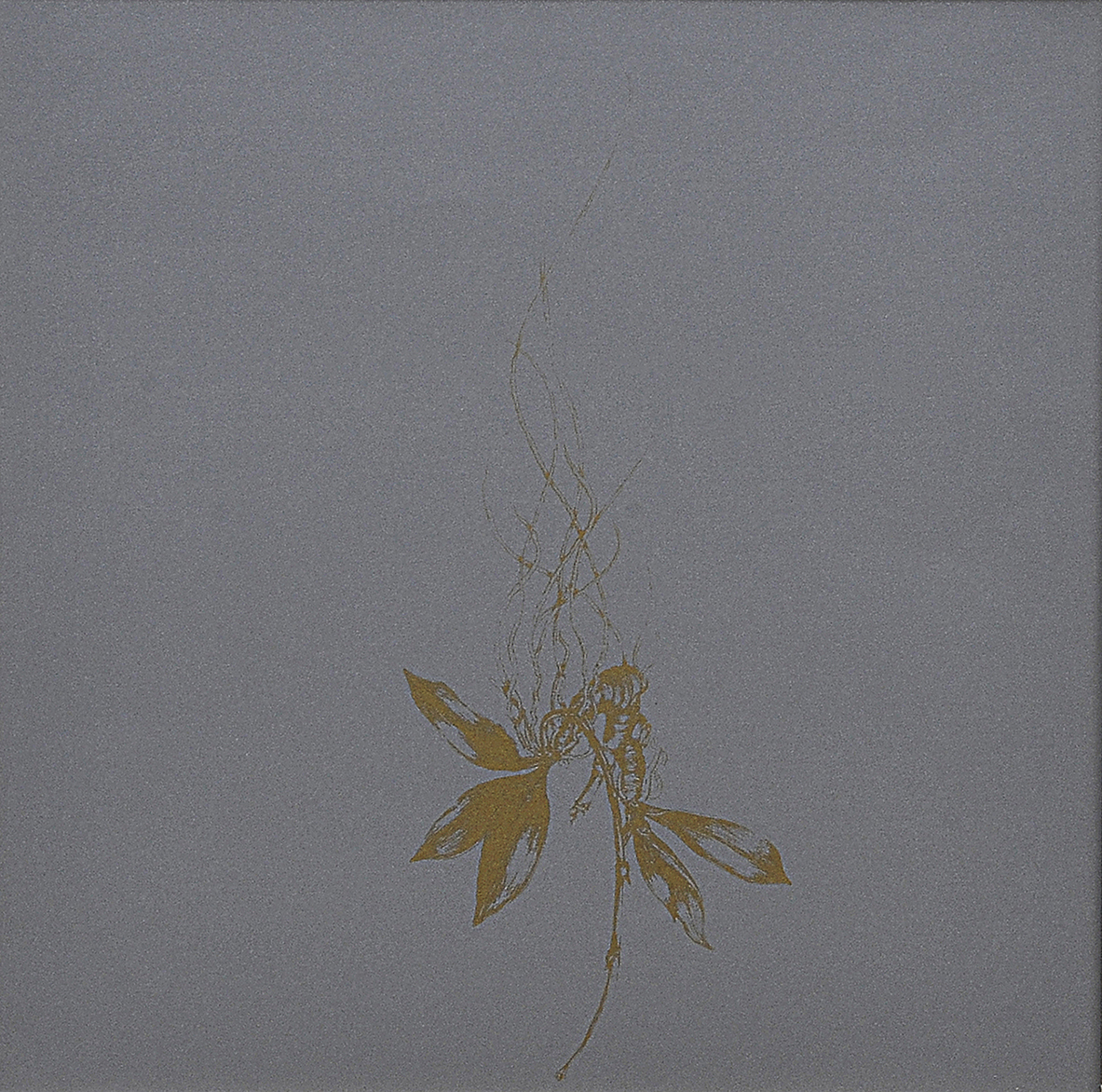 Plantas - foto 2 de 2
