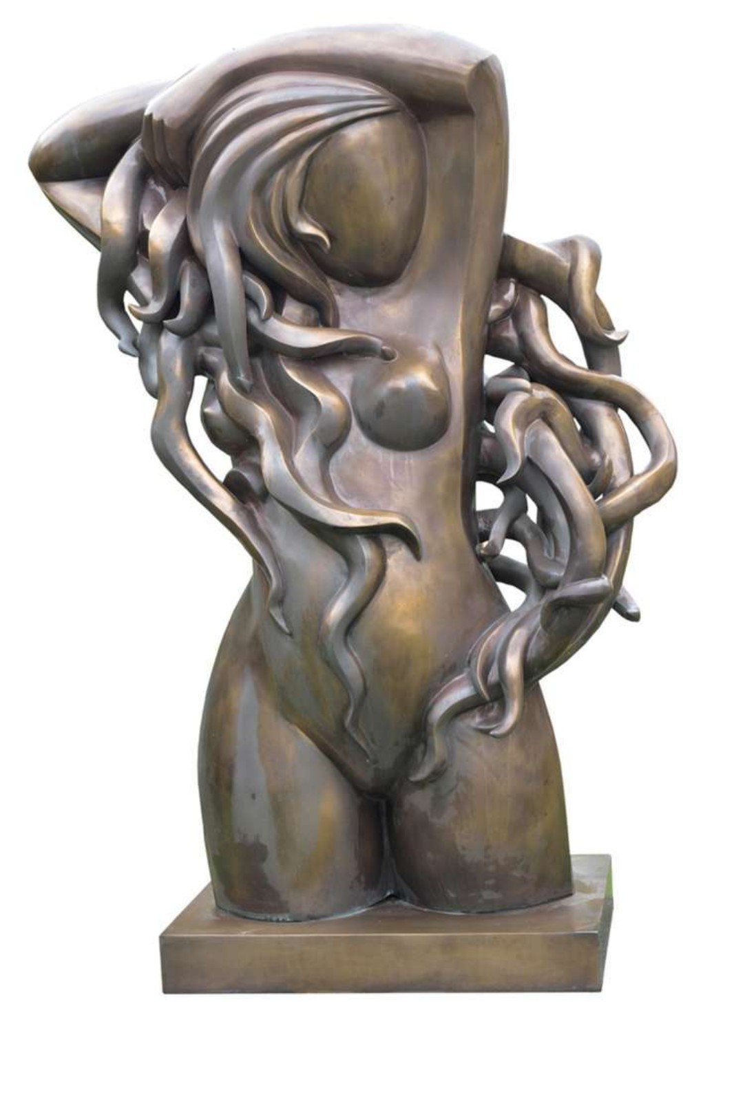 Evandro Carneiro (1946), Medusa.
