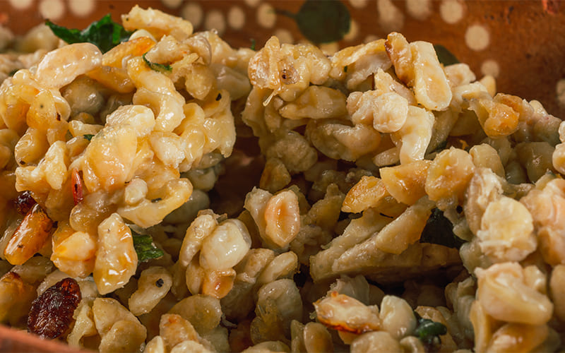 Recetas más raras del mundo: Escamoles