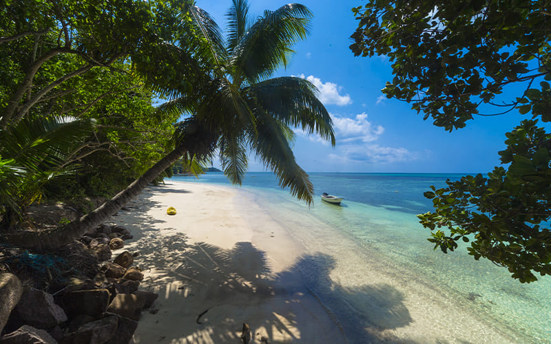 Encuentra los mejores momentos para viajar al Caribe