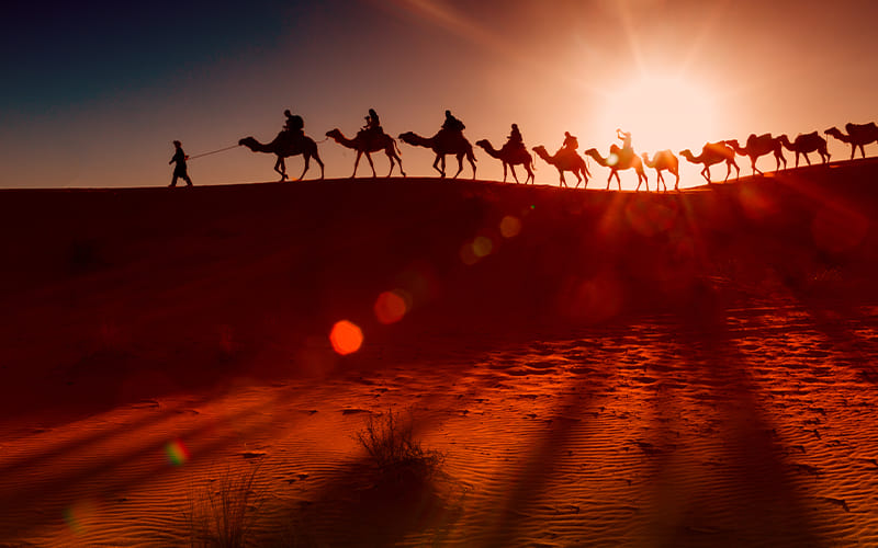 Explora las distintas bellezas de Marruecos