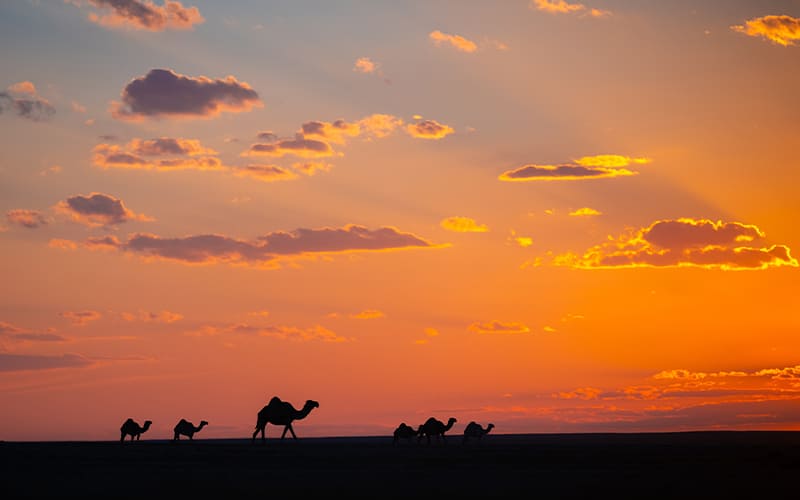 Una travesía por el Desierto de Kuwait