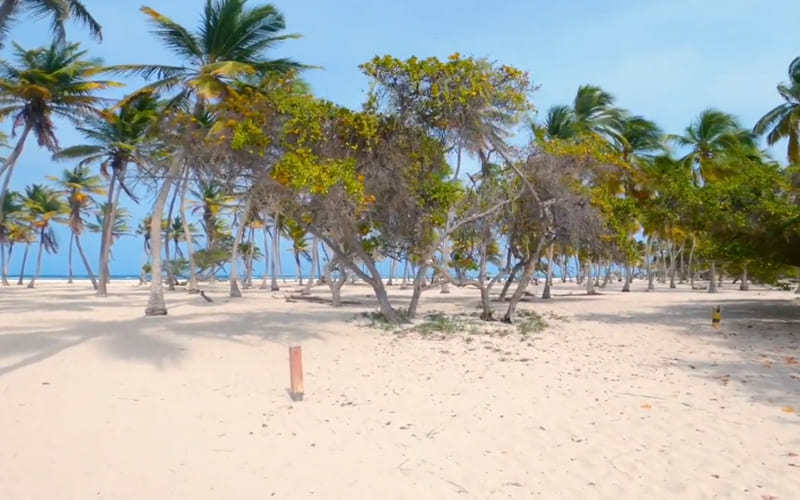 Carlos: Cayo Sombrero