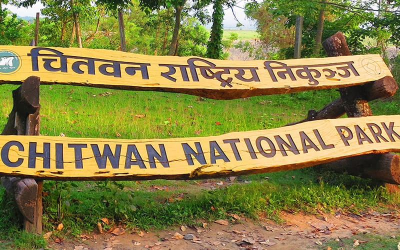 Aventura salvaje en el Parque Nacional de Chitwan