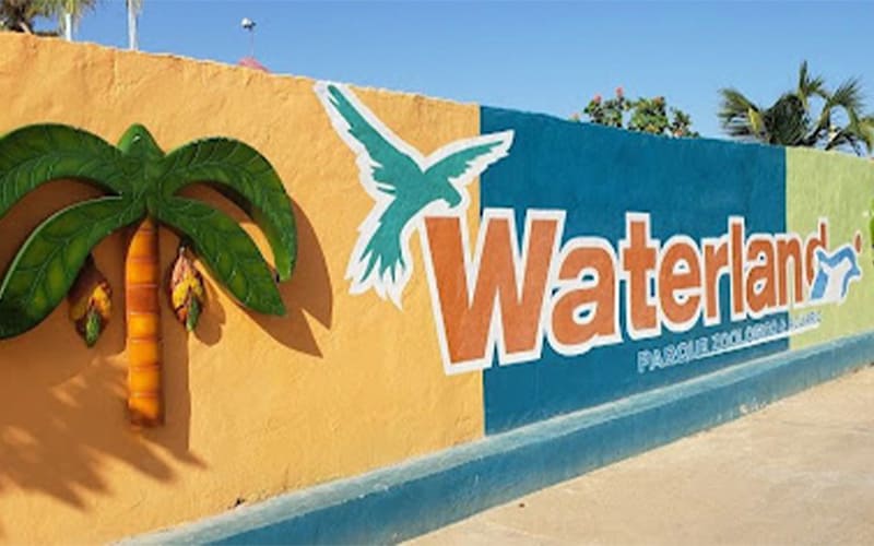 Un día de aventura marina en Waterland Mundo Marino