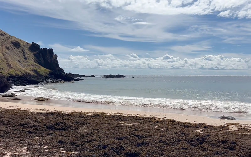 Playas de la Isla de Pascua