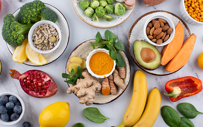 Bases de la nutrición