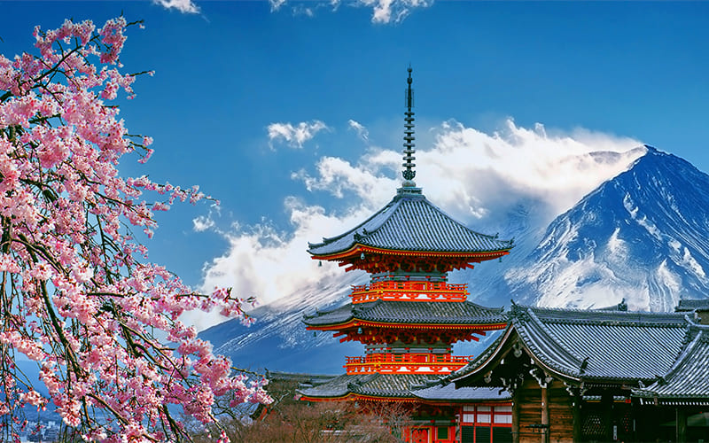 Guia completa de Tokio