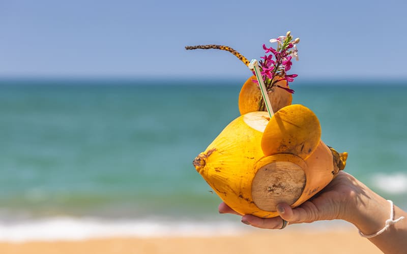 ¿Dónde se encuentran las playas más bonitas de Sri Lanka?