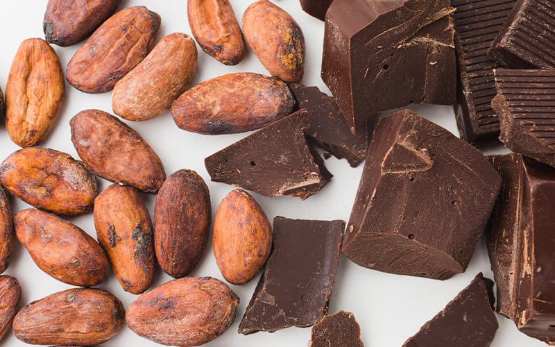 Celebra el mes del cacao con recetas irresistibles