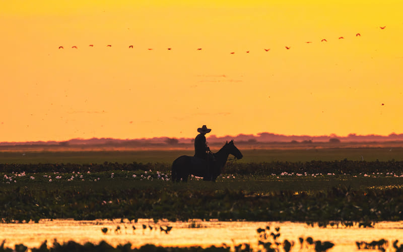 Los Llanos: naturaleza en estado puro