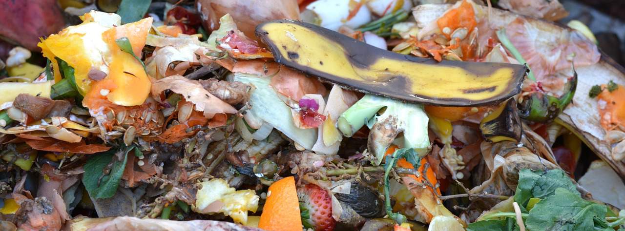Resíduos biodegradáveis