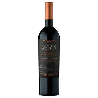Imagen de Vino Castillo de Molina Tributo Gran Reserva Cabernet Sauvignon 750cc