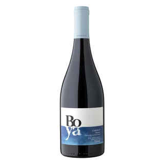 Imagen de Vino Garcés Silva Boya Cabernet Franc 750cc
