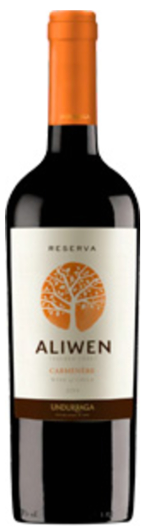 Vino Undurraga Aliwen Carmenere 750cc