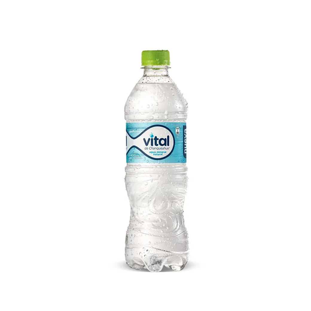 Agua Mineral Vital Con Gas 600cc