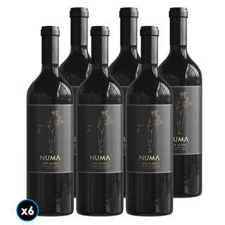 Imagen de CAJA VINO NUMA: 6x Vino Numa Gran Reserva Red Blend 750cc