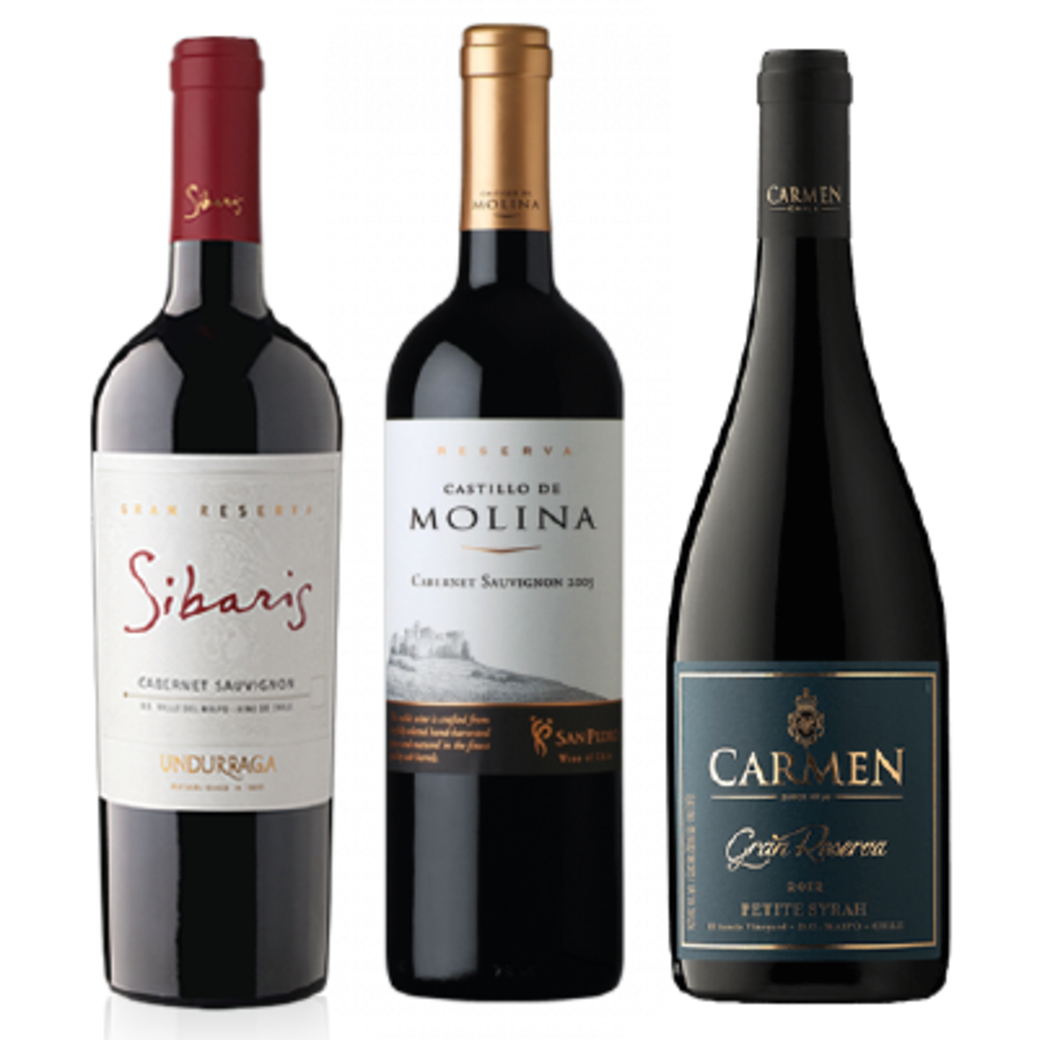 PACK GRAN RESERVA: Undurraga Sibaris Cabernet + Castillo De Molina Cabernet + Carmen Petite Syrah