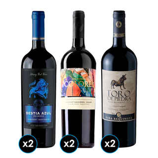 Imagen de PACK PARRILLERO TINTOS:  2x Vino Toro de Piedra Cabernet Sauvignon 750cc + 2x Vino 7 Colores Gran Reserva Cabernet Sauvignon 750cc + 2x Vino Bestia Azul Cabernet Sauvignon 750cc