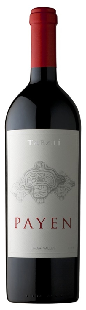 Vino Tabalí Payen Syrah 750cc