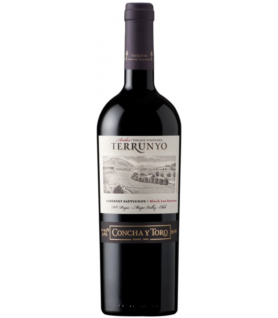 Vino Terrunyo Cabernet Sauvignon 750cc