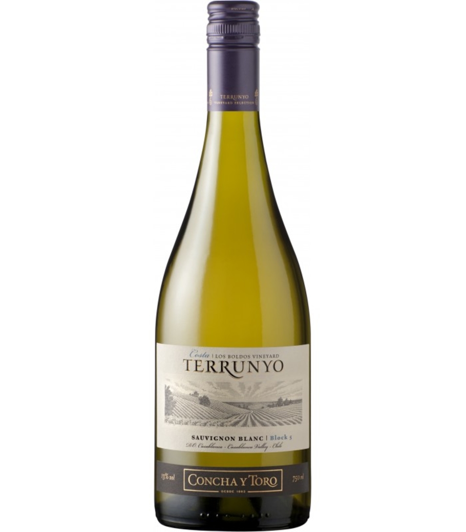 Vino Terrunyo Sauvignon Blanc 750cc
