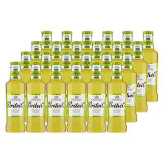 Imagen de 24x Britvic Ginger Ale 200cc