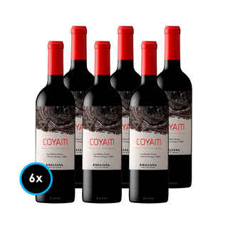 Imagen de CAJA COYAM: 6x Vinos Orgánico COYAM 750cc