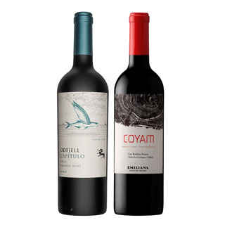 Imagen de DUO COYAM - FLYING FISH: 1x Vino Orgánico COYAM 750cc + 1x Vino Odfjell Gran Reserva Capítulo Flying Fish 750cc