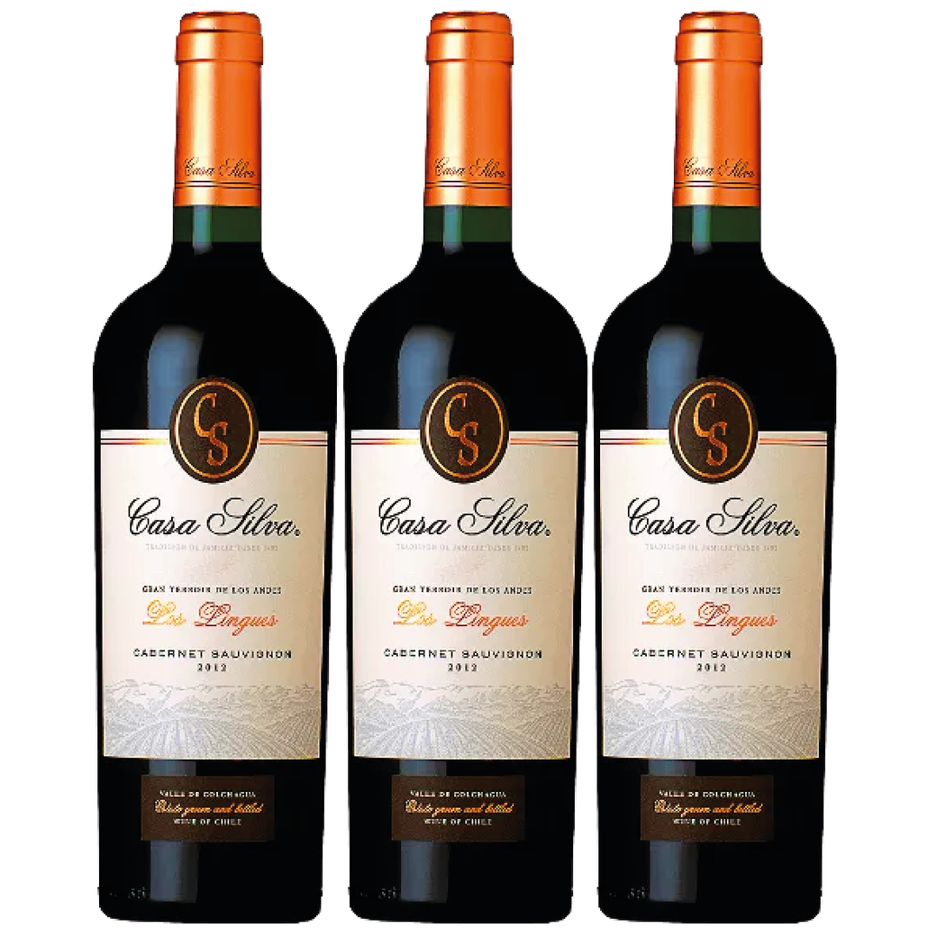 3x Vino Casa Silva Gran Terroir Cabernet Sauvignon 750cc