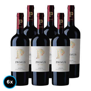 Imagen de CAJA PRIMUS: 6x Vino Veramonte Primus The Blend 750cc