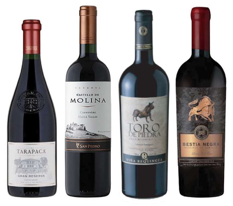 PACK VINOS GRAN RESERVA Nº5: Tarapacá Gran Reserva Carmenere 750cc + Castillo de Molina Carmenere 750cc + Toro de Piedra Cabernet Sauvignon 750cc + Bestia Negra Cabernet Sauvignon 750cc
