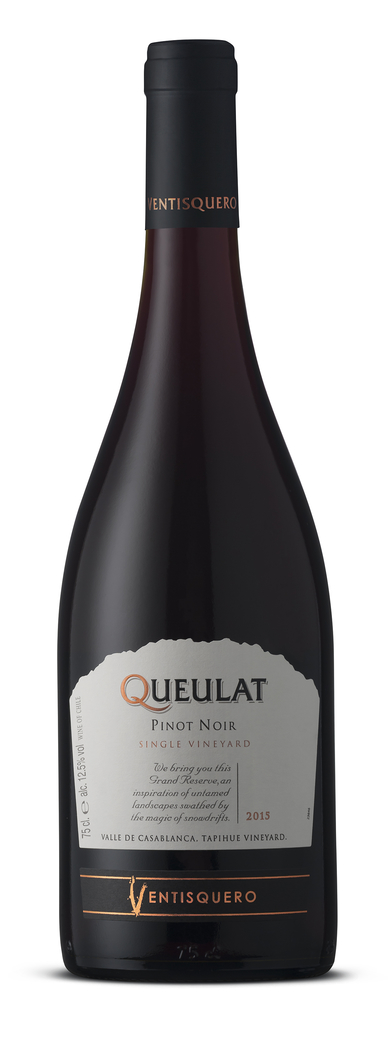 Vino Ventisquero Queulat Pinot Noir 750cc