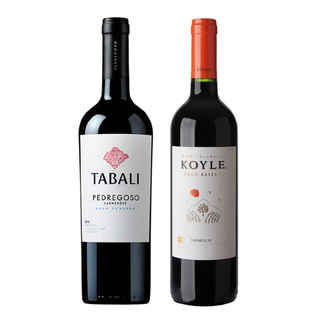 Imagen de GRAN DUO TABALI - KOYLE: 1x Vino Tabali Pedregoso Gran Reserva Carmenere 750cc + 1x Vino Koyle Gran Reserva Carmenere 750cc
