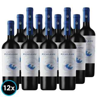 Imagen de CAJA PICHILEMU RESERVA (Carmenere): 12x Vino Pichilemu Reserva Carmenere 750cc