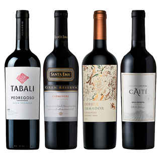Imagen de PACK CUARTETO CARMENERE: 1x Vino Tabali Pedregoso Gran Reserva Carmenere 750cc + 1x Vino Santa Ema Gran Reserva Carmenere 750cc + 1x Vino Odfjell Armador Carmenere 750cc + 1x Vino Caiti Gran Reserva Carmenere 750cc