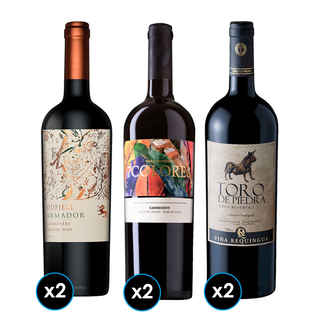 Imagen de PACK DIECIOCHERO PREMIUM: 2x Vino Toro de Piedra Cabernet Sauvignon 750cc + 2x Vino 7 Colores Gran Carmenere 750cc + 2x Vino Odfjell Armador Carmenere 750cc