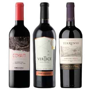 Imagen de PACK VINOS PREMIUM Nº2: COYAM 750cc + Ventisquero Vertice 750cc + Terrunyo Carmenere 750cc