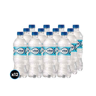 Imagen de 12x Agua Mineral Vital Con Gas Botella 600cc